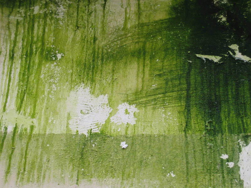Piment vert ou vert pomme ?