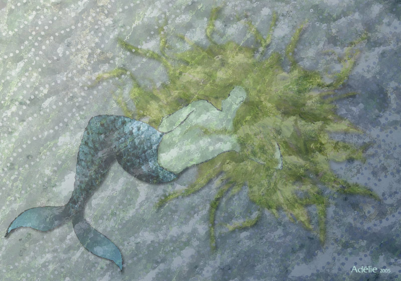 The life aquatic with Adelie Zissou*