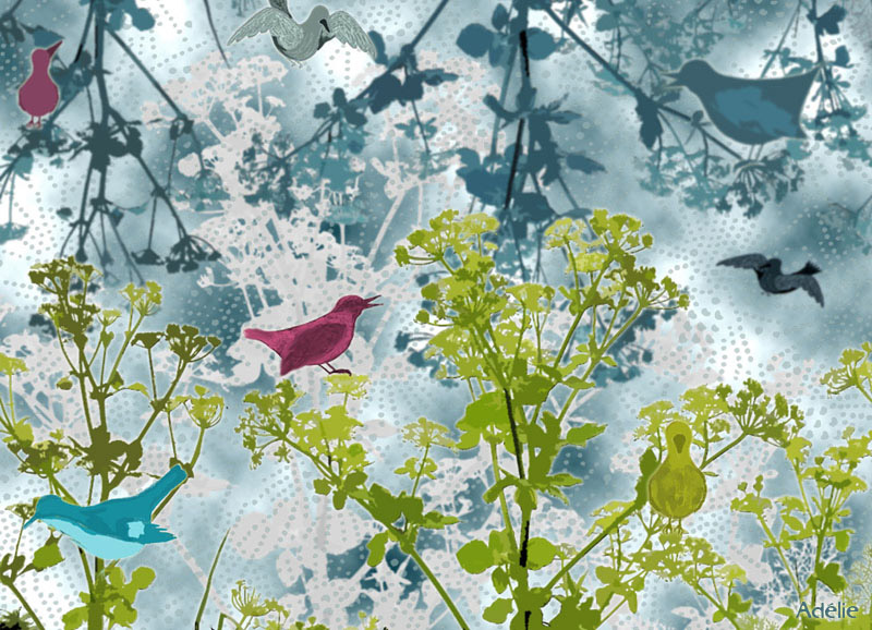 Les oiseaux de juin