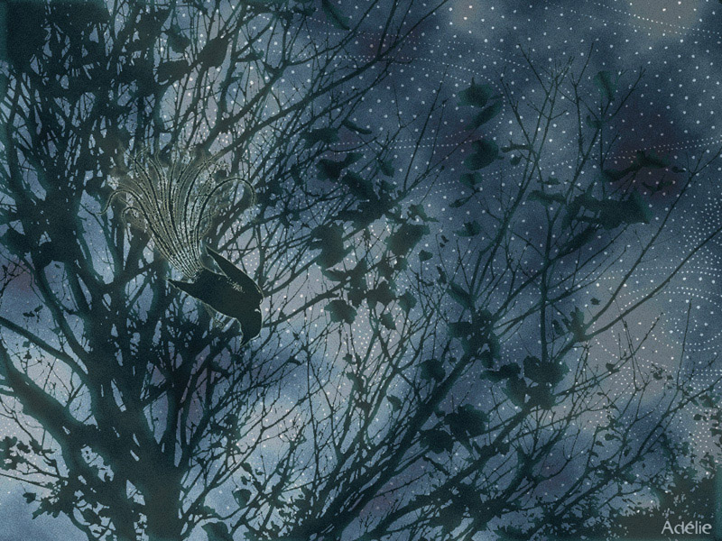 La nuit de l’oiseau à ressort ?