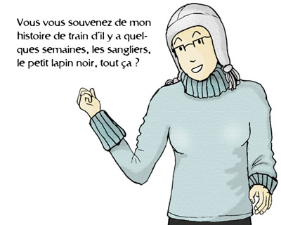 TGV, train (de) givré(s)