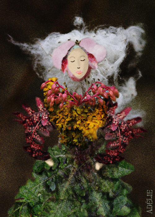 Arcimbolda des Jardins
