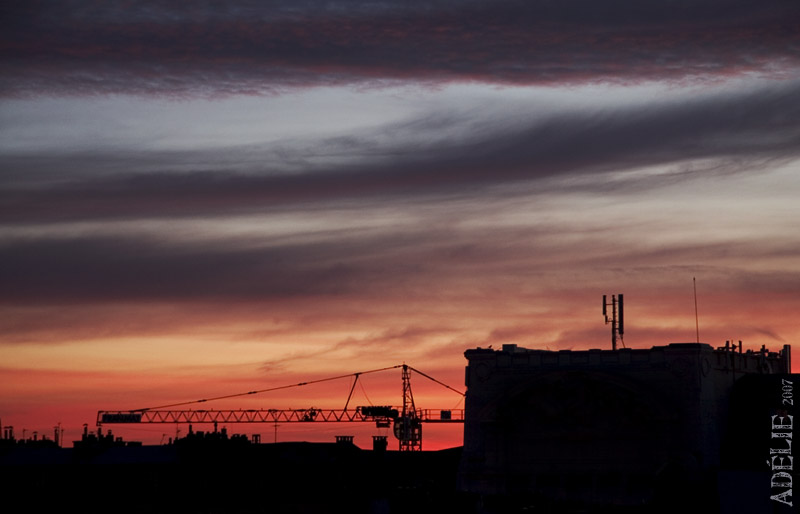 La grue