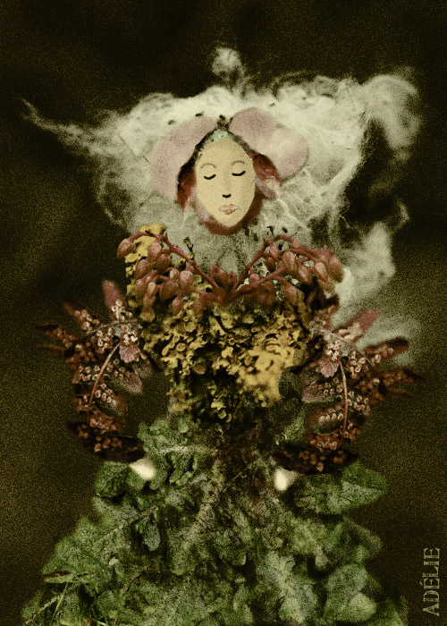 La Fille du Consul