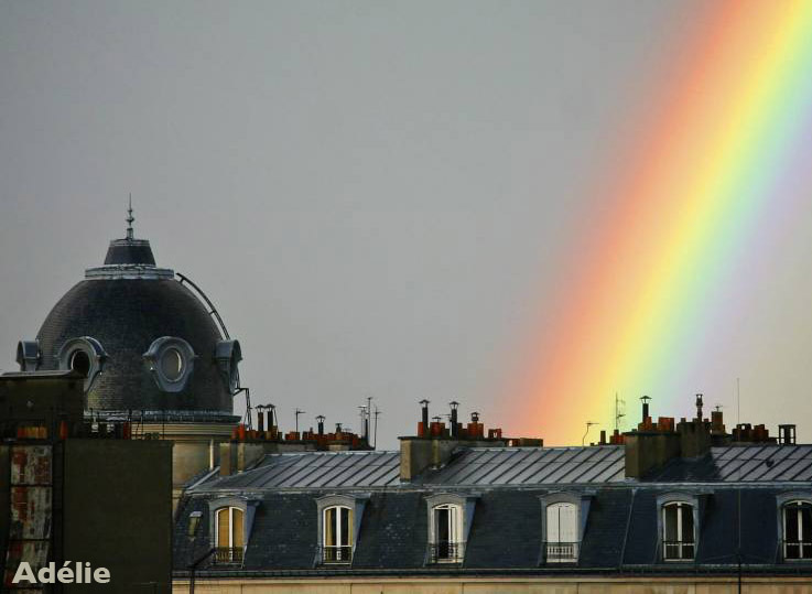 Un peu de couleur(s) au milieu de tout ce gris