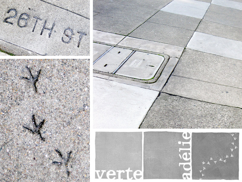 San Francisco sidewalks and animal tracks, or the story of a header