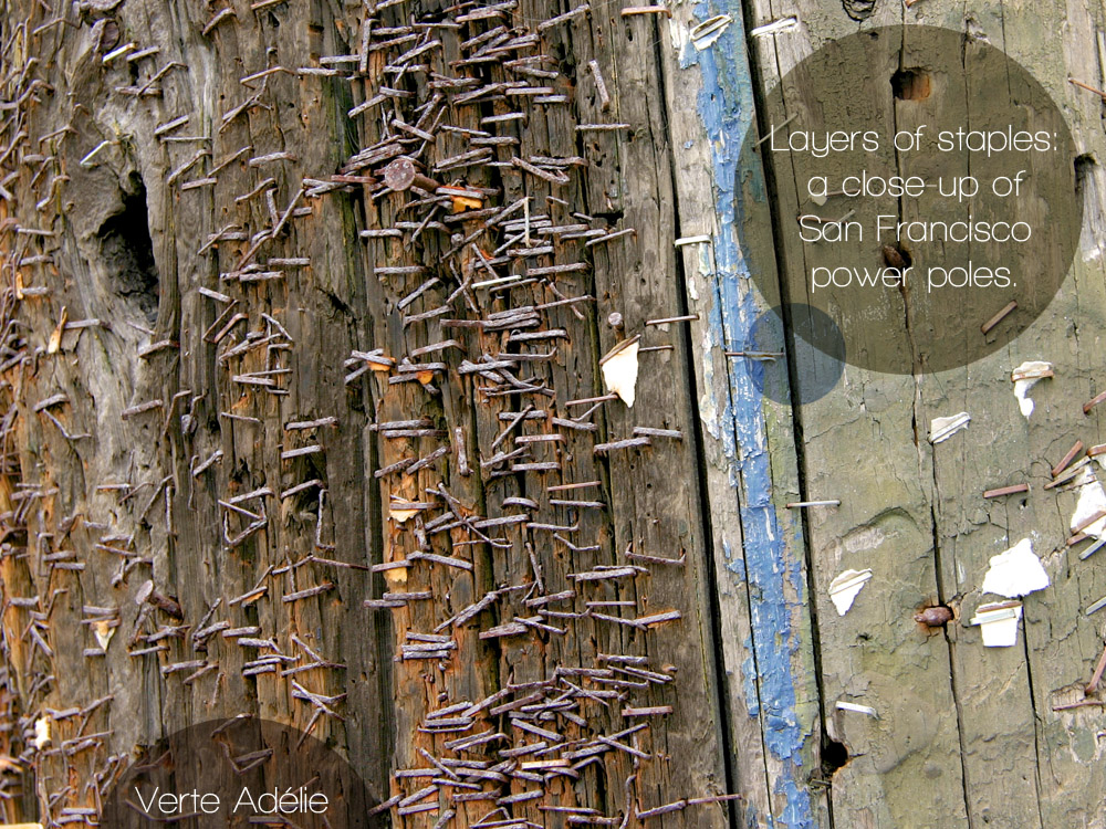 Old staples, or why San Francisco power poles sometimes look like punks